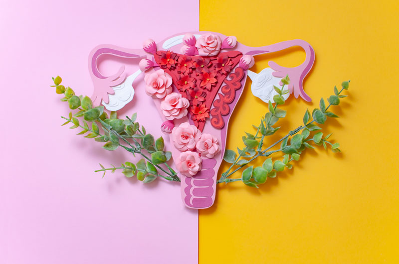 Endometriosis Clinical Study
